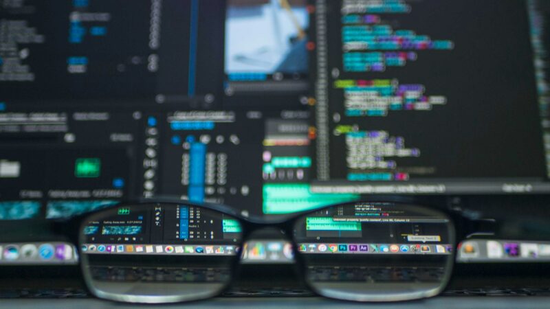 Information Security through the lenses of a Professional